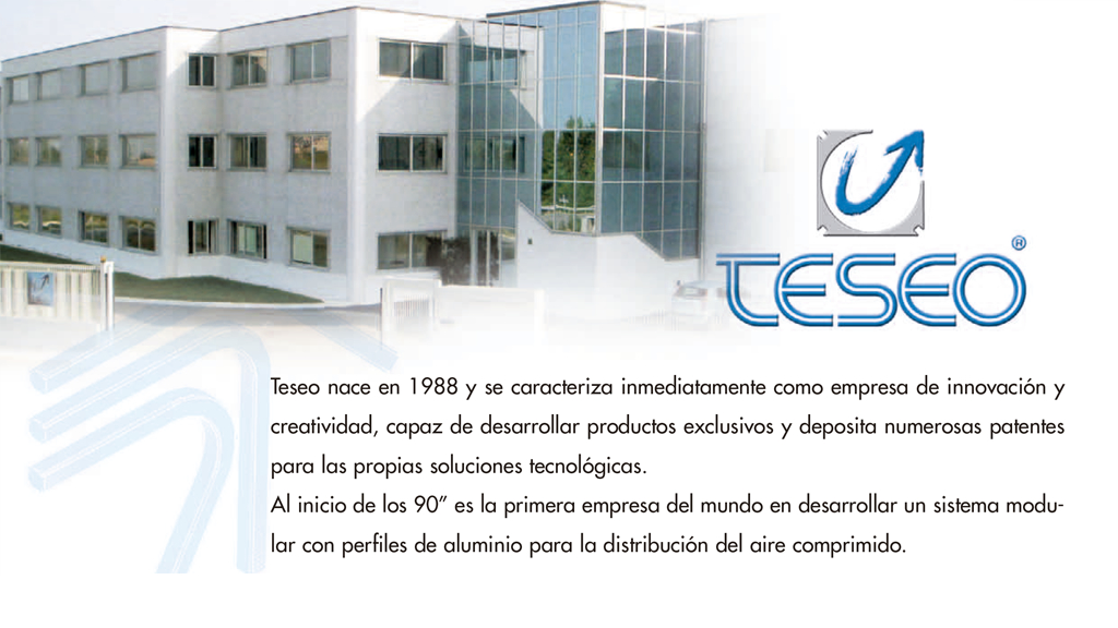 PERFIL DE TESEO SRL