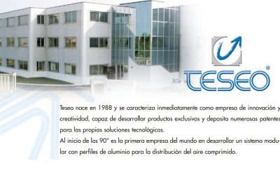 PERFIL DE TESEO SRL